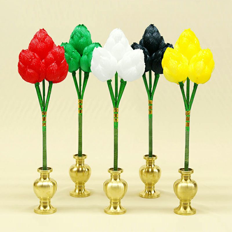 000000003113-01.jpg?size=m&w=