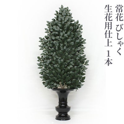 常花 びしゃく 生花用仕上 1本（水上寸法45cm～90cm 4種類）