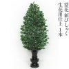 常花 新びしゃく 生花用仕上 1本（水上寸法60cm～90cm 3種類）