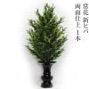 常花 新ヒバ 両面仕上 1本（水上寸法60cm～90cm 3種類）