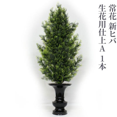 常花 新ヒバ 生花用仕上A 1本（水上寸法45cm～90cm 4種類）