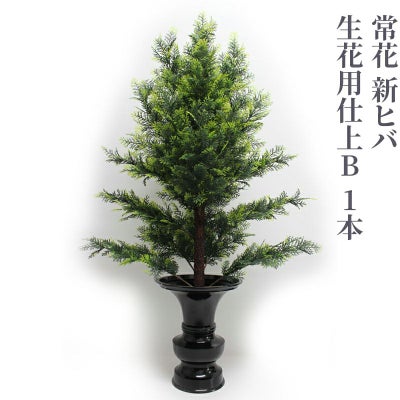 常花 新ヒバ 生花用仕上B 1本（水上寸法60cm～90cm 3種類）