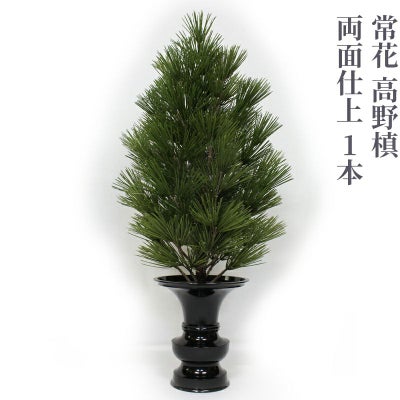 常花 高野槙 両面仕上 1本（水上寸法45cm～90cm 4種類）