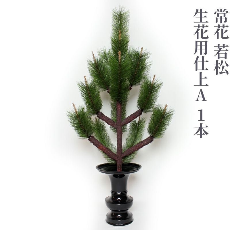 おまとめ専用 花器 2つ分 ① FARM/レンカ TL 25/93229 - 花材通販はなどんやアソシエ