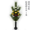 常花 若松 色花添えB 水上寸法60cm 1本
