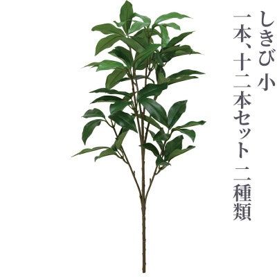 しきび 小（1本、12本セット 2種類）4742