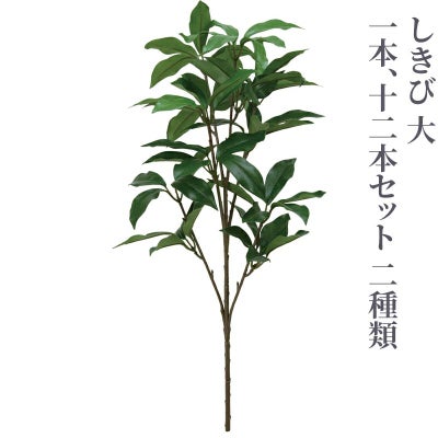 しきび 中（1本、12本セット 2種類）4742