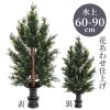 ひばA 花あわせ仕上（水上げ60～90cm 3種類）HB101