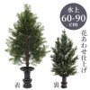 ひばB 花あわせ仕上（水上げ60～90cm 3種類）HB201