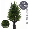 ひばC 両面仕上（水上げ60～90cm 3種類）HB302