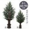 高野槇A 花あわせ仕上（水上げ60～90cm 3種類）KM101