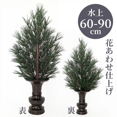 高野槇A 花あわせ仕上（水上げ60～90cm 3種類）KM101