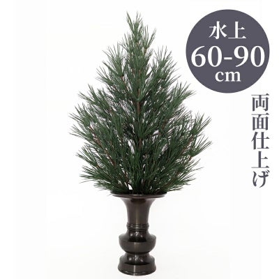 高野槇A 両面仕上（水上げ60～90cm 3種類）KM102