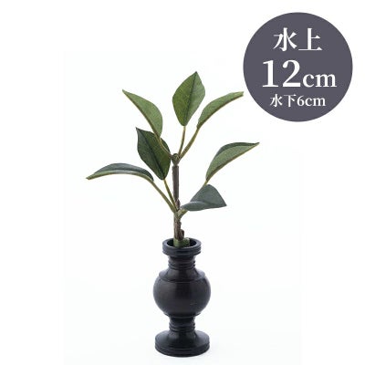 しきび 花瓶 水上げ12cm SB202-12