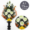 ひばA 色花添 24-3 水上げ75cm HB101-IB24-3