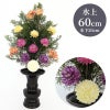 ひばB 色花添 24-2 水上げ60cm HB201-IB24-2