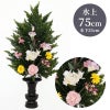ひばC 色花添 24-2 水上げ75cm HB301-IB24-2