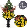 ひばC 色花添 24-3 水上げ75cm HB301-IB24-3