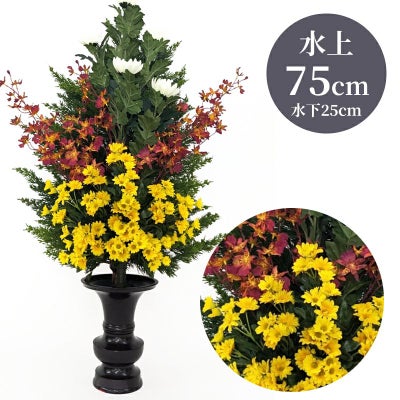 ひばC 色花添 24-3 水上げ75cm HB301-IB24-3