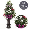 しきび 色花添 24-3 水上げ60cm SB101-IB24-3