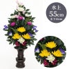 ひさかき 色花添 24-3 水上げ55cm HS101-IB24-3