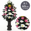 ひさかき 色花添 24-5 水上げ60cm HS101-IB24-5